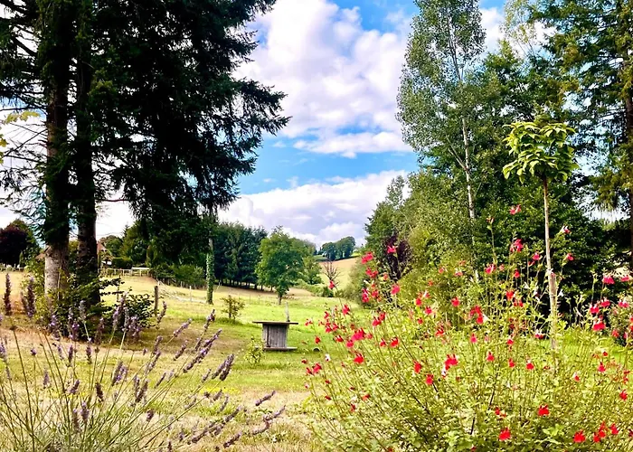 Zenae - Cosy Avec & Sauna Bed & Breakfast 4*