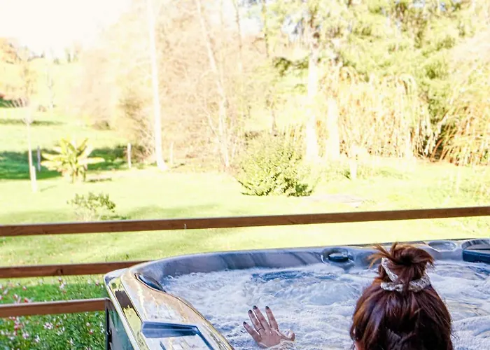 Zenae - Cosy Avec & Sauna Vitrac (Cantal)